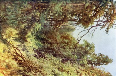 Une clairière forestière - Robert George Talbot Kelly
